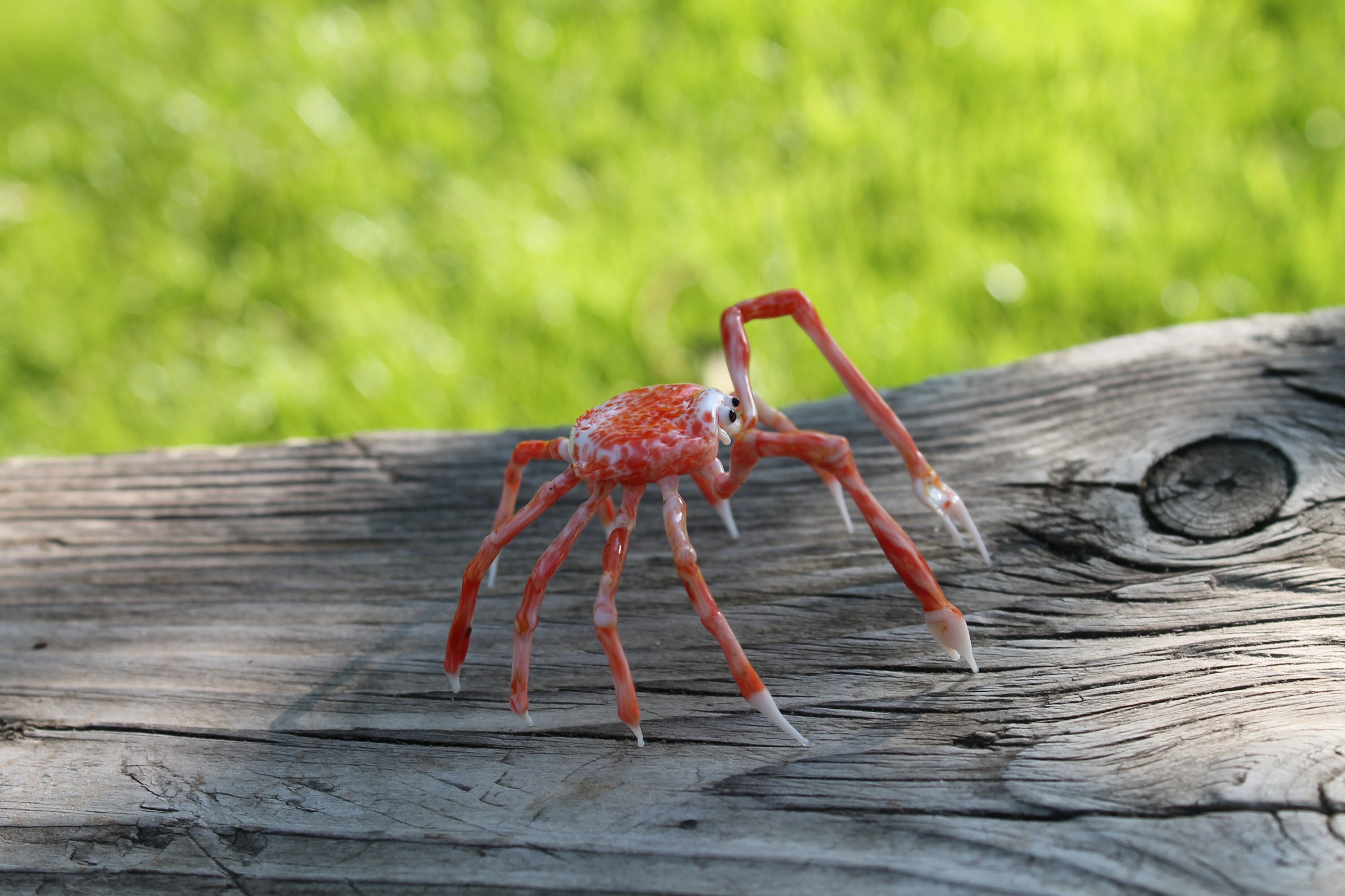 【激レア・完売品】RED SPIDER K-3756sステンレスカップ340ml Spider Crab, Japanese Spider Crab, Blown Glass Crab, Spider Crab