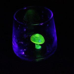 Può includere: Un bicchiere trasparente con un fungo verde fluorescente al suo interno. Il bicchiere è illuminato da una luce viola.