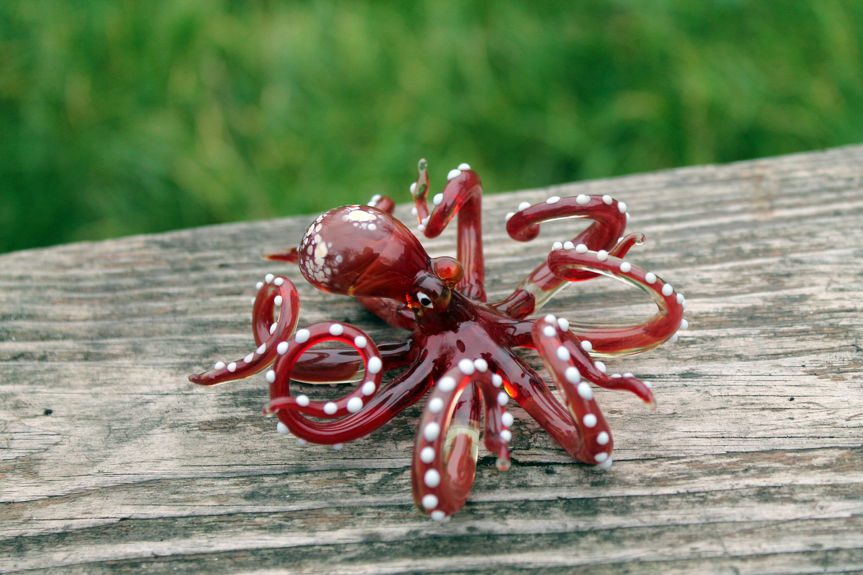 Blown Glass Octopus Glass Octopus Glass Octopus Ocean Etsy