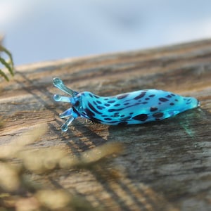 Spotted Slug glass sculpture GLASS SLUG lampwork Glass Animals Handcrafted