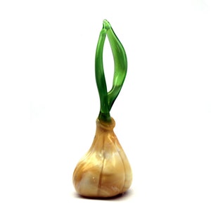 Sprouted Garlic Clove Glass, Art Glass, Blown Glass Garlic Clove , Sculpture Made Of Glass, blown glass Garlic