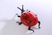 Blown Glass Ladybug Miniature, ladybird Sculpture, Figurine, Flamework , Animals Glass,Sculpture Made Of Glass, Glass Art 