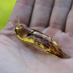 Spotted Slug  glass sculpture GLASS SLUG lampwork Glass Animals Handcrafted Snail glass Slug sculpture