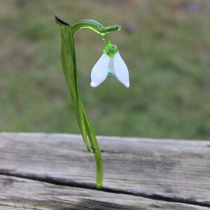 Glass Flower Snowdrop - White Snowdrop - Glass Flower - Single Snowdrop - Forever Snowdrop image 8