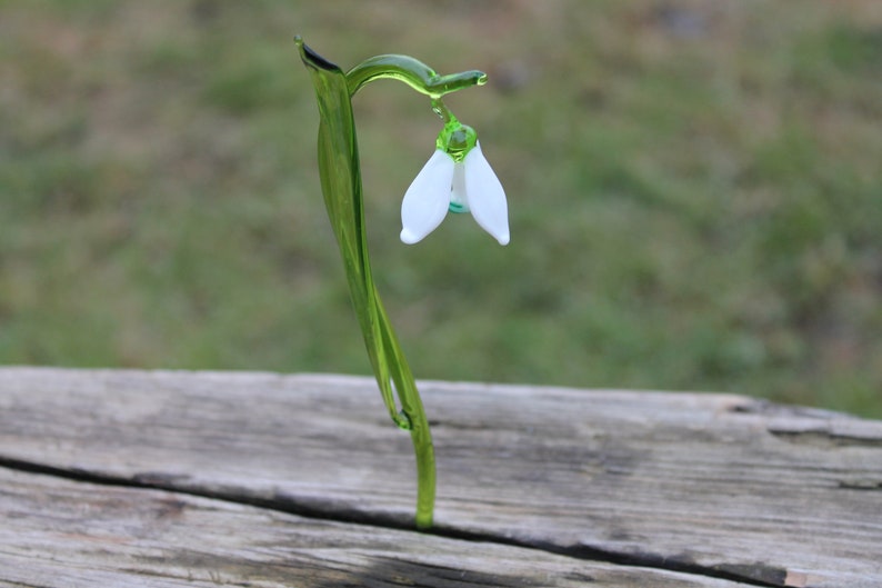 Glass Flower Snowdrop - White Snowdrop - Glass Flower - Single Snowdrop - Forever Snowdrop image 8