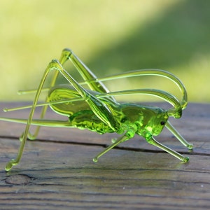 Grasshopper Glass Miniature, Migratory locust Animals Glass, Hand Blown Glass Lampwork Collectible Grasshopper Figurine image 2