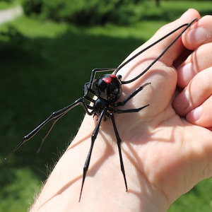 Spider Black Widow, pendant Blown glass Spider,Hanging Spider Black Widow, image 1