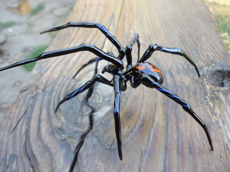 Puede incluir: Una ara&ntilde;a de vidrio negro con detalles azules y un abdomen naranja y rojo. La ara&ntilde;a est&aacute; sentada sobre una superficie de madera.