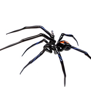 Puede incluir: Una escultura de ara&ntilde;a de vidrio negro con detalles azules y un abdomen naranja. La ara&ntilde;a tiene ocho patas y est&aacute; en posici&oacute;n de arrastre.