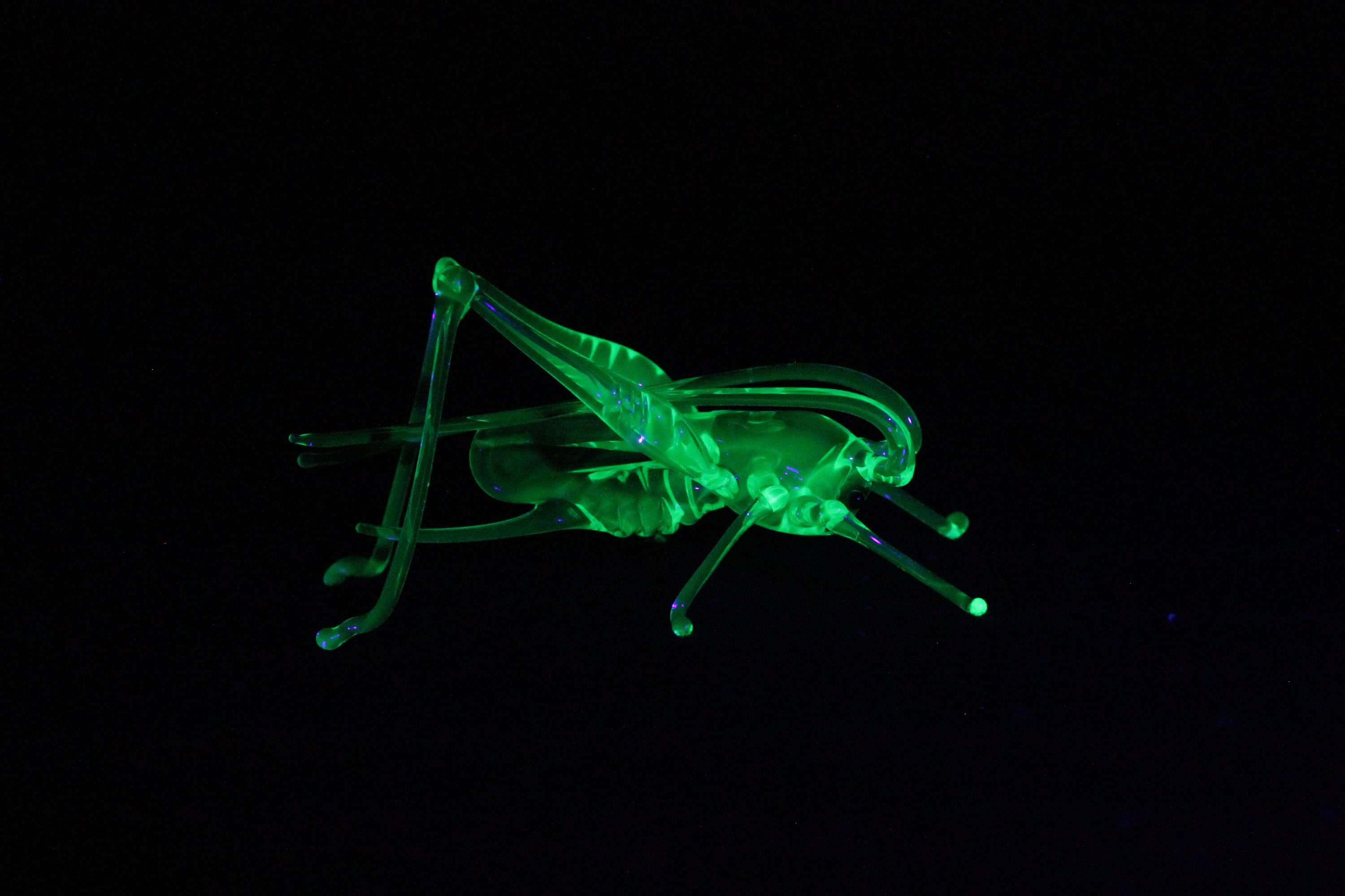 ウランガラスバッタガラス UV 昆虫彫刻グッズ置物イナゴワセリンガラス