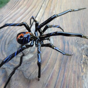 Puede incluir: Una ara&ntilde;a de vidrio negro con detalles azules y naranjas. La ara&ntilde;a tiene ocho patas y un cuerpo detallado.