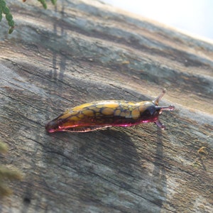 Spotted Slug glass sculpture GLASS SLUG lampwork Glass Animals Handcrafted
