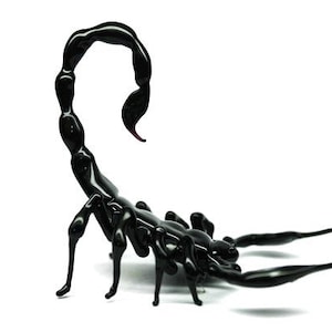 May include: A black glass scorpion sculpture with a curled tail and detailed legs. The scorpion is posed in a defensive stance with its stinger raised.