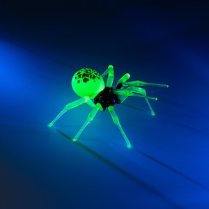 May include: A green glass spider with black spots on its body. The spider has eight legs and is posed in a crawling position. The spider is on a blue background.