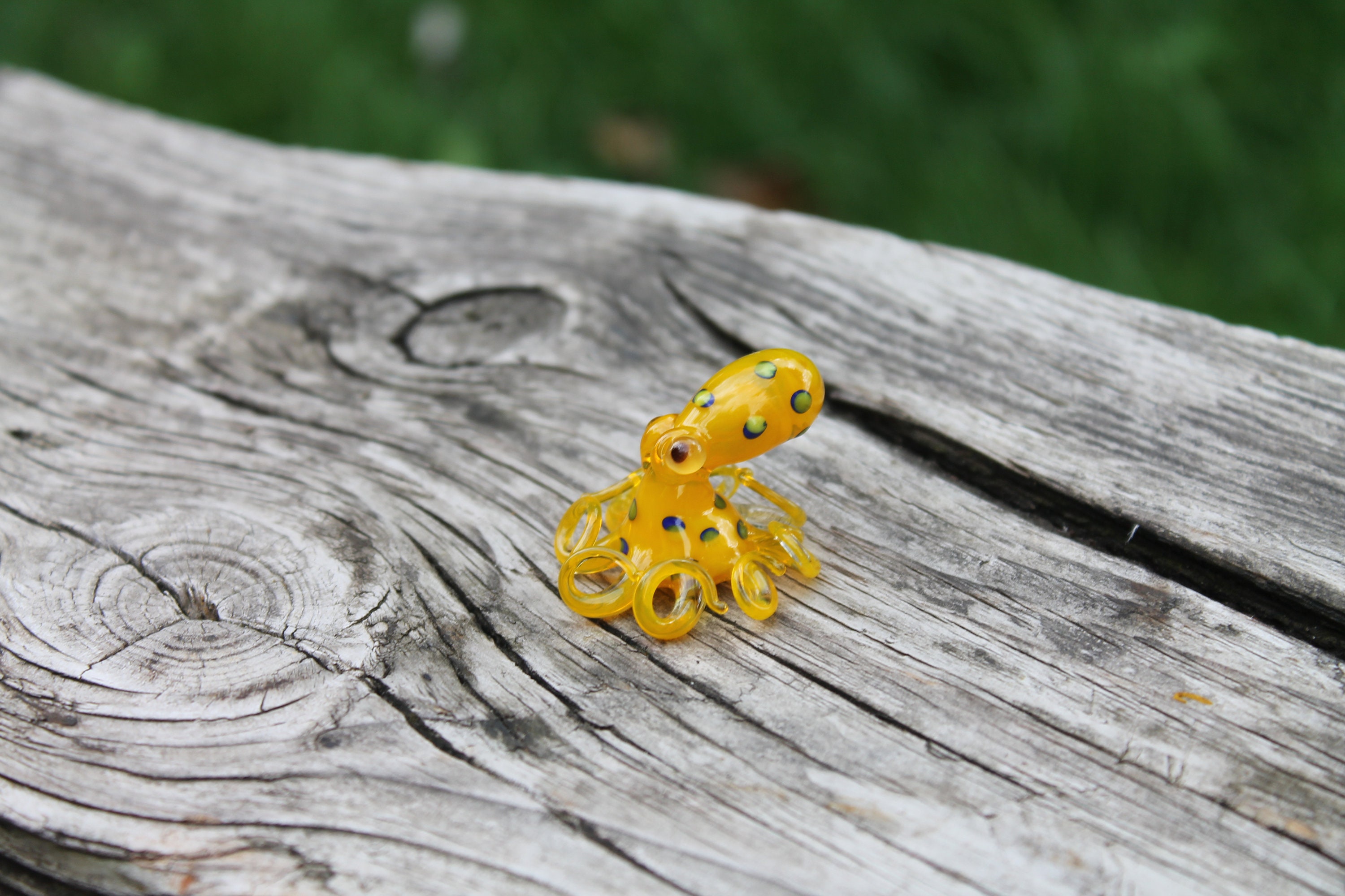 Blauwgeringde Octopus, Glazen Octopus, Glas, Octopus, Oceaan, Octopus  Sculptuur, Inktvis, Kraken, Zee, Koppotigen, Geblazen glas, Octopus Beeldje  - Etsy België, image size:3000x2000