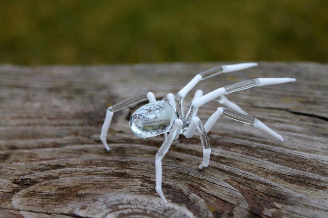 Spider Animals Glass Art Glass Blown Glass Blown Glass - Etsy