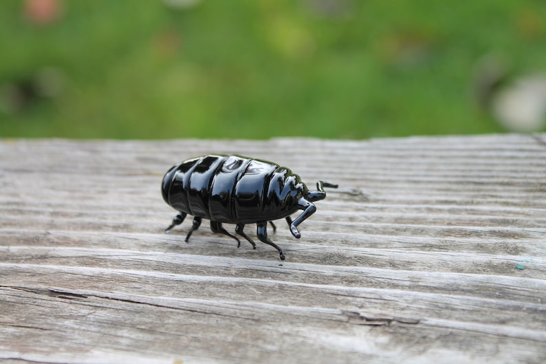 Glass woodlouse, Glass bug, Art glass, Blown Glass bug, glass sculpture woodlouse zdjęcie 9