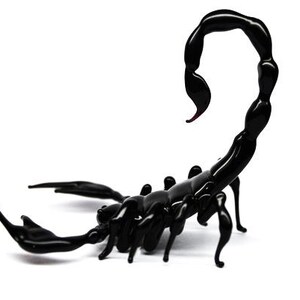May include: A black glass scorpion sculpture with a curled tail. The scorpion is posed with its tail raised and its legs spread out.