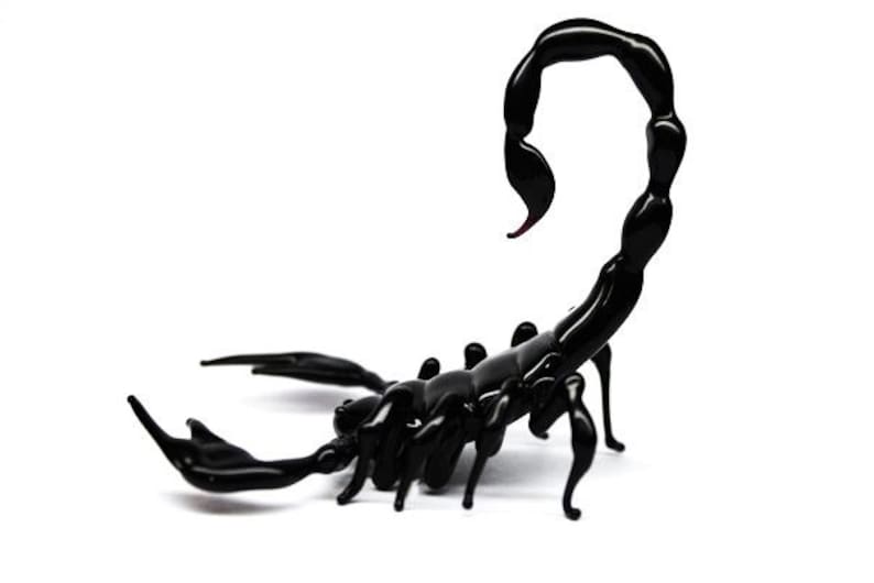 May include: A black glass scorpion sculpture with a curled tail. The scorpion is posed with its tail raised and its legs spread out.