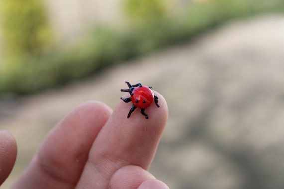 吹きガラスてんとう虫ミニチュア、てんとう虫彫刻、てんとう虫