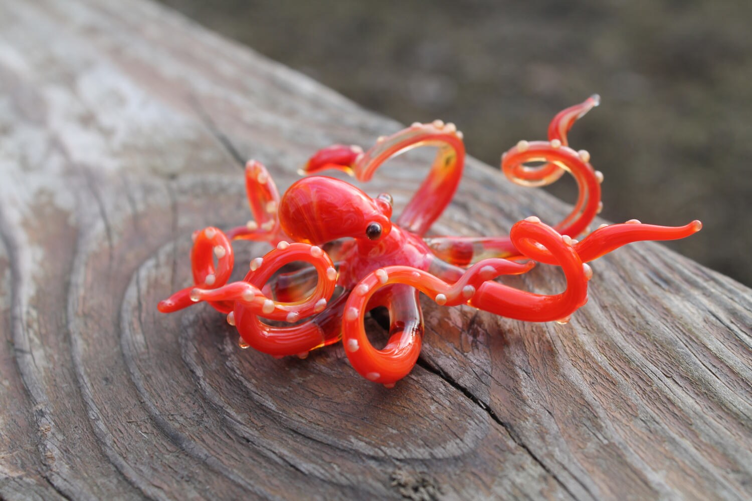 glass octopus