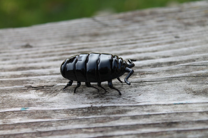 Glass woodlouse, Glass bug, Art glass, Blown Glass bug, glass sculpture woodlouse image 10