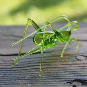 Grasshopper Glass Miniature, Migratory locust Animals Glass, Hand Blown Glass Lampwork Collectible Grasshopper Figurine image 3