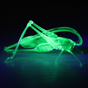 Uranglas Heuschrecke Glas UV Insekten Skulptur Sammlerfigur Heuschrecke Vaseline Glas Heuschrecke Einzigartiges Geschenk