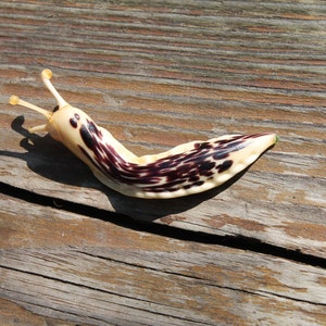 Spotted Slug glass sculpture GLASS SLUG lampwork Glass Animals Handcrafted Snail glass sculpture