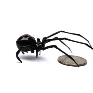 May include: A black spider with a shiny body and long, thin legs. The spider has red markings on its back and is next to a coin. The spider is on a white background. The coin is approximately 2.4 cm in diameter.