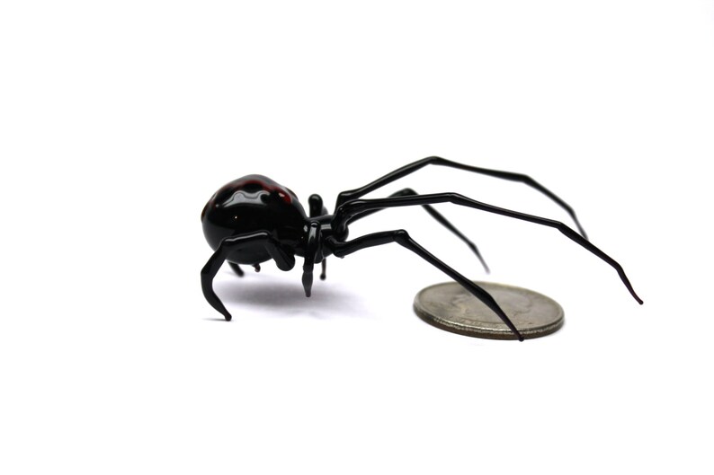 May include: A black spider with a shiny body and long, thin legs. The spider has red markings on its back and is next to a coin. The spider is on a white background. The coin is approximately 2.4 cm in diameter.