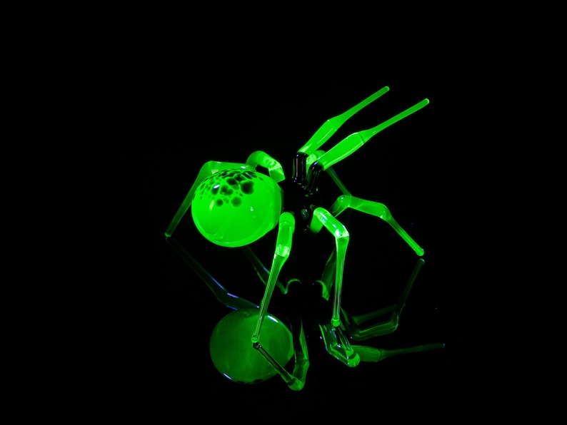 May include: A green glass spider sculpture with a textured body and long, thin legs. The spider is illuminated from below, casting a glow on its body.