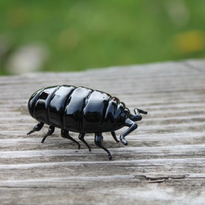 ガラスワラジムシ、ガラスの虫、アートガラス、吹きガラスの虫、ガラス彫刻のワラジムシ
