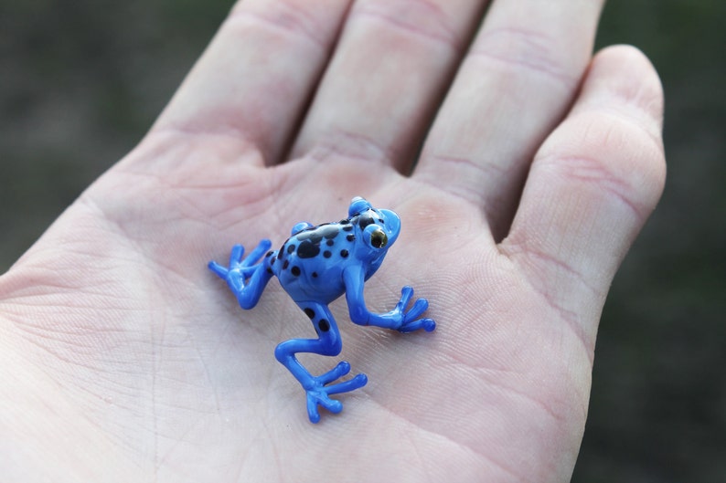 May include: A small blue poison dart frog with black spots sitting on a person's hand.