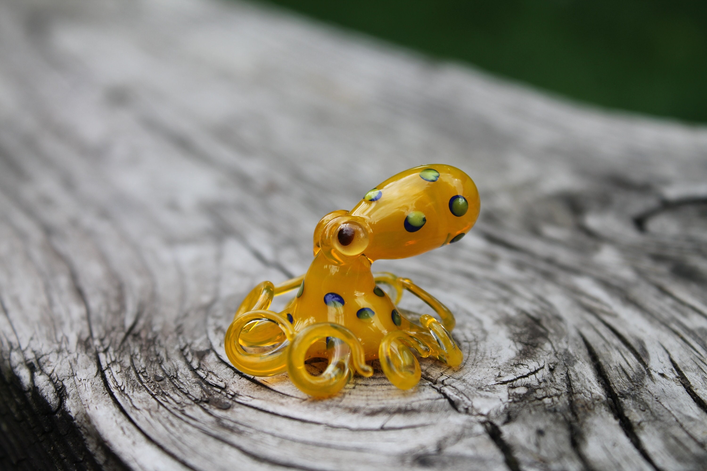 Blauwgeringde Octopus, Glazen Octopus, Glas, Octopus, Oceaan, Octopus  Sculptuur, Inktvis, Kraken, Zee, Koppotigen, Geblazen glas, Octopus Beeldje  - Etsy België, image size:3000x2000