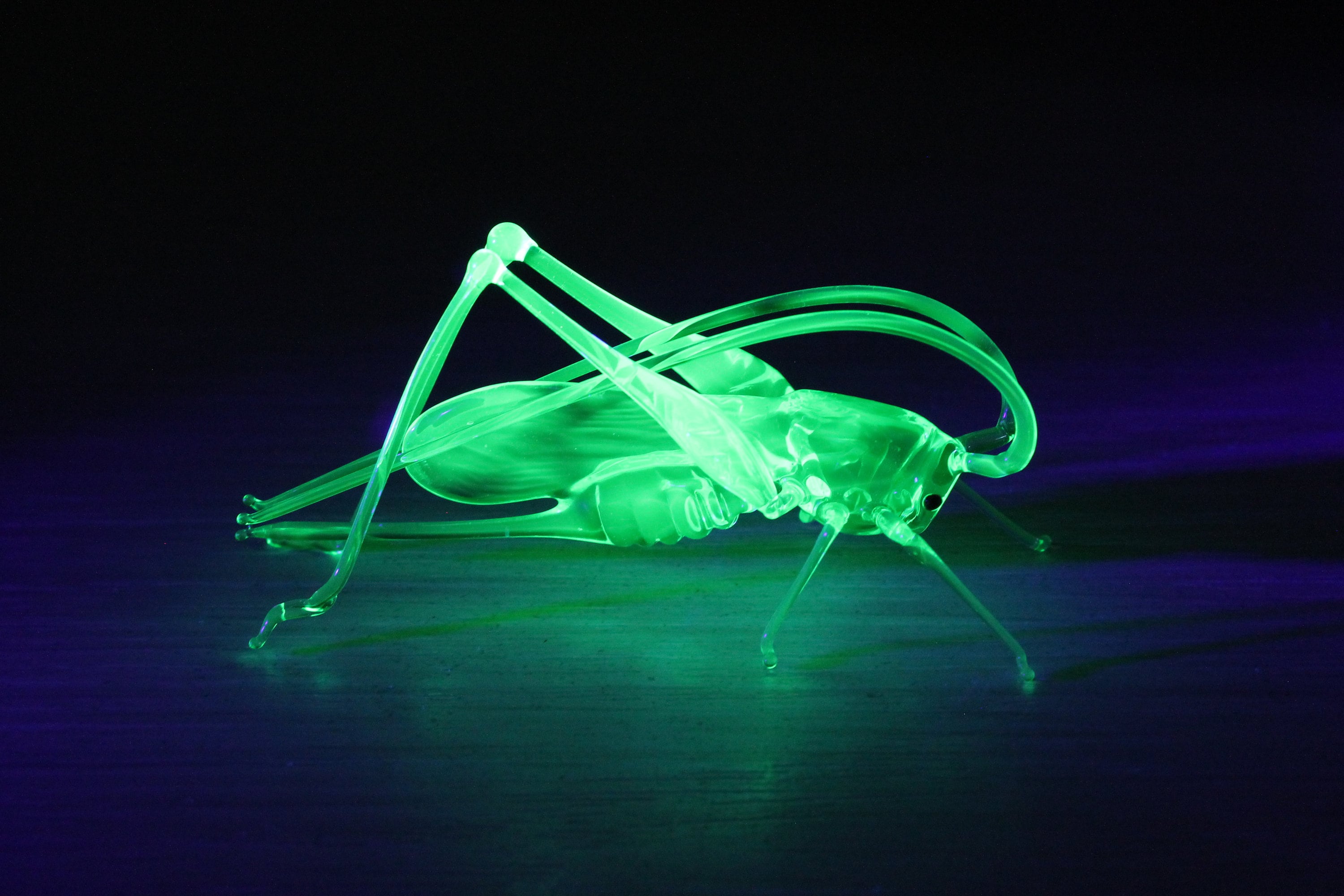 ウランガラス バッタ ガラス UV昆虫 彫刻 コレクター向けフィギュア