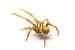 Glass Hand-Blown Glass Spider Collectible Figurine Blown Glass, Blown Glass Figurine Art Insect 
