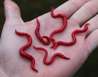 Glass Murano Worm Creature figurine Glass worm Decor party Lampwork Worm