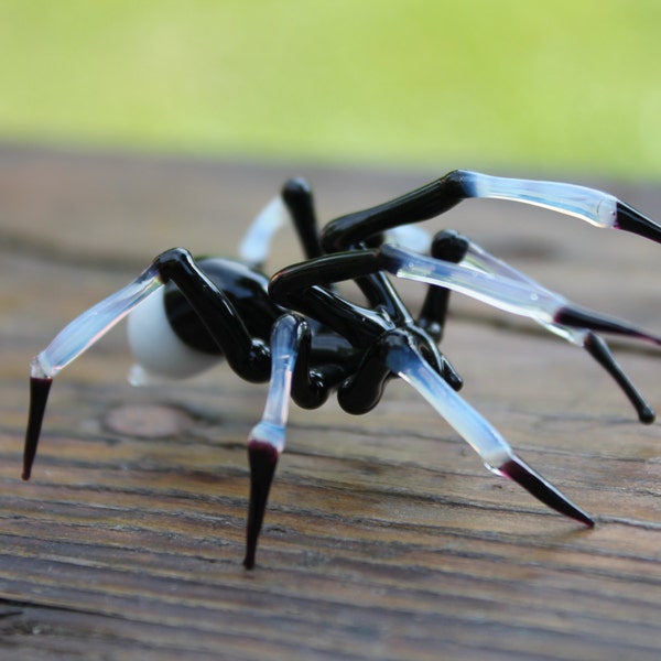 Spinnentiere Glas, Kunstglas, Mundgeblasenes Glas, Skulptur aus Glas, Schwarze Spinne
