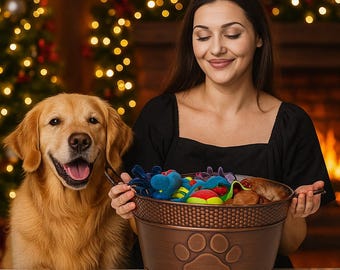 Galvanized Metal Dog Toy Basket with Chew Toys: Farmhouse Pet Storage