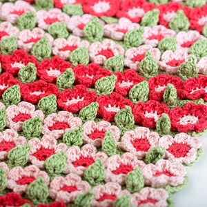 Crochet Pattern Spring Field Blanket Digital file PDF image 3