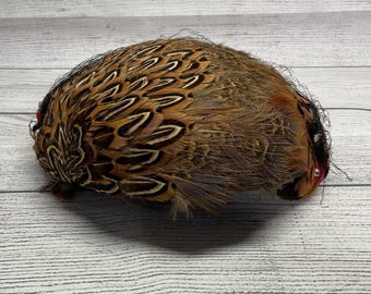 VINTAGE PHESANT PEACOCK Feather Hat Stunning Antique  display picture 2