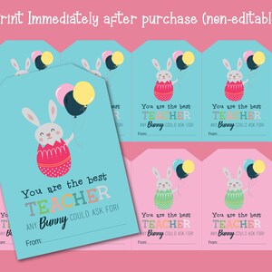 Bunny Easter Teacher Appreciation Gift Tags (Digital)