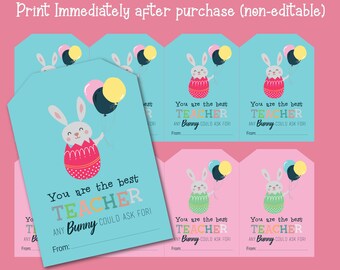 May include: Printable gift tags featuring a cartoon bunny holding balloons and the text "You are the best TEACHER ANY Bunny COULD ASK FORI". The tags are on a light blue background with pink and yellow accents.