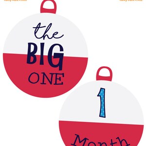 1 12 Month Fishing Bobber Photo Banner The Big One Fishing Birthday Bobber Milestone banner Fishing Birthday Decorations DIGITAL image 3