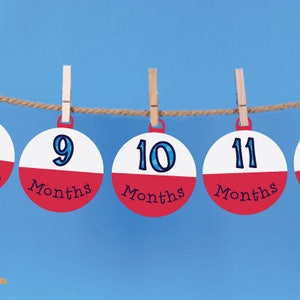 1 12 Month Fishing Bobber Photo Banner The Big One Fishing Birthday Bobber Milestone banner Fishing Birthday Decorations DIGITAL image 2