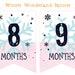 Adorable Snowflake Monthly Photo Banner For Baby's First Birthday - Pink Winter Onederland Theme - View #4