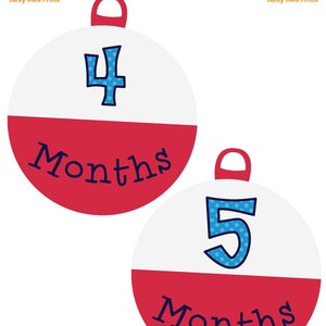 1 12 Month Fishing Bobber Photo Banner The Big One Fishing Birthday Bobber Milestone banner Fishing Birthday Decorations DIGITAL image 4