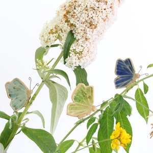 Schmetterling Pflanze Hugger Dekorationen | Geschenkkarte | Letterbox Geschenk