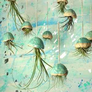 Ceramic Jellyfish Air Plants, Hanging Decor, Unique Gift